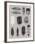 Monochrome Plume II-Sandra Jacobs-Framed Giclee Print