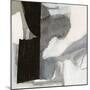 Monochrome Remnants II-Victoria Barnes-Mounted Art Print