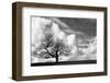 Monochrome Single Tree on Hill against Stunning Vibrant Blue Sky and Clouds-Veneratio-Framed Photographic Print