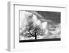 Monochrome Single Tree on Hill against Stunning Vibrant Blue Sky and Clouds-Veneratio-Framed Photographic Print