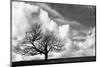 Monochrome Single Tree on Hill against Stunning Vibrant Blue Sky and Clouds-Veneratio-Mounted Photographic Print