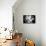 Monochrome Succulent IV-Erin Berzel-Mounted Photographic Print displayed on a wall