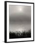 Monochrome Sunrise-Nicholas Bell-Framed Photographic Print