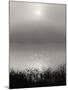 Monochrome Sunrise-Nicholas Bell-Mounted Photographic Print
