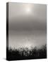 Monochrome Sunrise-Nicholas Bell-Stretched Canvas