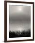 Monochrome Sunrise-Nicholas Bell-Framed Photographic Print