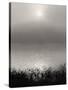 Monochrome Sunrise-Nicholas Bell-Stretched Canvas