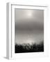 Monochrome Sunrise-Nicholas Bell-Framed Photographic Print