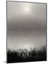 Monochrome Sunrise-Nicholas Bell-Mounted Photographic Print