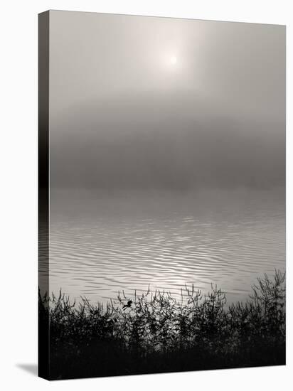 Monochrome Sunrise-Nicholas Bell-Stretched Canvas
