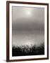 Monochrome Sunrise-Nicholas Bell-Framed Photographic Print