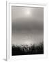 Monochrome Sunrise-Nicholas Bell-Framed Photographic Print