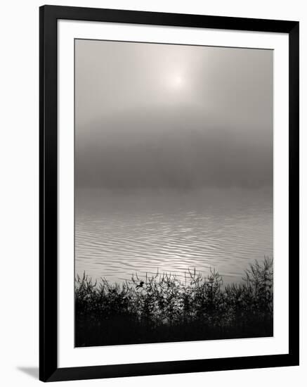 Monochrome Sunrise-Nicholas Bell-Framed Photographic Print