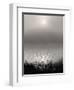 Monochrome Sunrise-Nicholas Bell-Framed Photographic Print