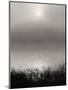 Monochrome Sunrise-Nicholas Bell-Mounted Photographic Print