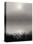 Monochrome Sunrise-Nicholas Bell-Stretched Canvas