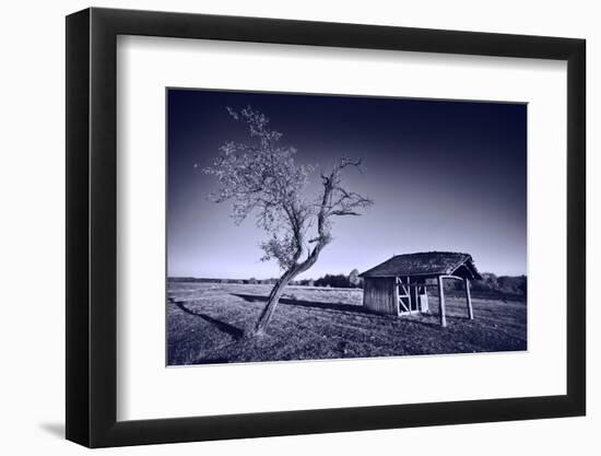 Monochrome Toned Image of Old Wooden Shelter-Xilius-Framed Photographic Print