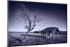 Monochrome Toned Image of Old Wooden Shelter-Xilius-Mounted Photographic Print