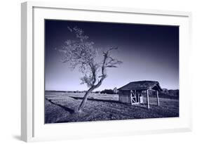 Monochrome Toned Image of Old Wooden Shelter-Xilius-Framed Photographic Print