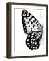 Monochrome Wings I-Annie Warren-Framed Art Print