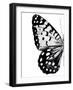 Monochrome Wings I-Annie Warren-Framed Art Print