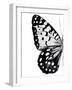 Monochrome Wings I-Annie Warren-Framed Art Print