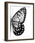 Monochrome Wings II-Annie Warren-Framed Art Print