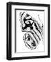 Monochrome Wings III-Annie Warren-Framed Art Print