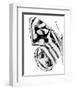 Monochrome Wings III-Annie Warren-Framed Art Print