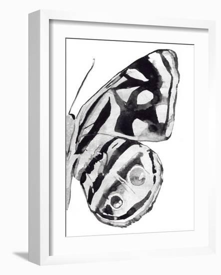 Monochrome Wings IV-Annie Warren-Framed Art Print