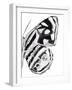 Monochrome Wings IV-Annie Warren-Framed Art Print