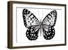Monochrome Wings Whole I-Annie Warren-Framed Premium Giclee Print