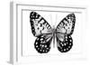 Monochrome Wings Whole I-Annie Warren-Framed Premium Giclee Print