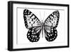 Monochrome Wings Whole I-Annie Warren-Framed Art Print