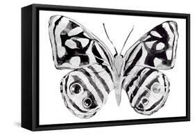 Monochrome Wings Whole II-Annie Warren-Framed Stretched Canvas