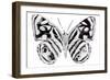 Monochrome Wings Whole II-Annie Warren-Framed Art Print