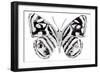 Monochrome Wings Whole II-Annie Warren-Framed Art Print