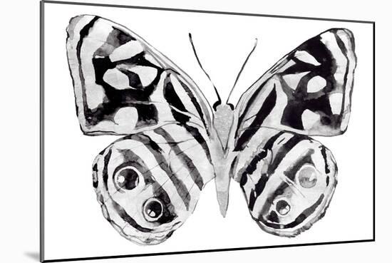 Monochrome Wings Whole II-Annie Warren-Mounted Art Print