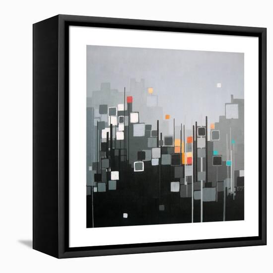 Monochrome XII-Carol Joy Shannon-Framed Stretched Canvas