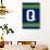 Monogram - Game Day - Blue and Green - Q-Lantern Press-Art Print displayed on a wall