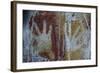 Monolithic Cave Paintings in Raja Ampat, West Papua, Indonesia, New Guinea, Southeast Asia, Asia-James Morgan-Framed Photographic Print