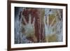 Monolithic Cave Paintings in Raja Ampat, West Papua, Indonesia, New Guinea, Southeast Asia, Asia-James Morgan-Framed Photographic Print