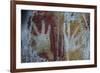 Monolithic Cave Paintings in Raja Ampat, West Papua, Indonesia, New Guinea, Southeast Asia, Asia-James Morgan-Framed Photographic Print