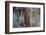 Monolithic Cave Paintings in Raja Ampat, West Papua, Indonesia, New Guinea, Southeast Asia, Asia-James Morgan-Framed Photographic Print