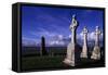 Monolithic High Crosses in Monastic Complex on Banks of River Shannon, Clonmacnoise, Ireland-null-Framed Stretched Canvas