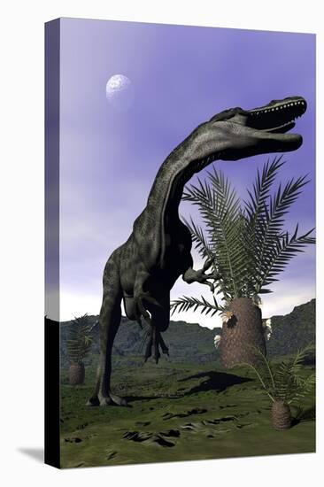 Monolophosaurus Dinosaur Roaring Next to Cycadeoidea Plant-Stocktrek Images-Stretched Canvas