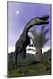 Monolophosaurus Dinosaur Roaring Next to Cycadeoidea Plant-Stocktrek Images-Mounted Art Print