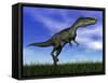 Monolophosaurus Dinosaur Walking in the Grass-null-Framed Stretched Canvas