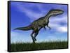 Monolophosaurus Dinosaur Walking in the Grass-null-Framed Stretched Canvas