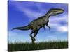 Monolophosaurus Dinosaur Walking in the Grass-null-Stretched Canvas